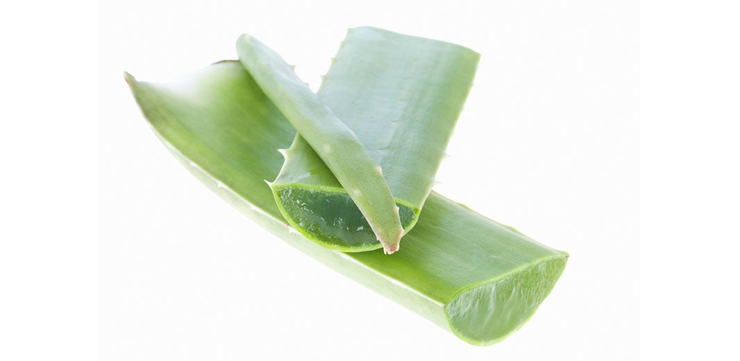 Ingredient_Aloe_alt