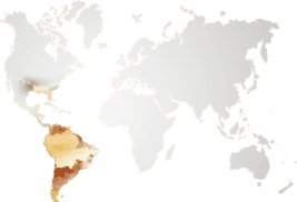 imgAcaiMap