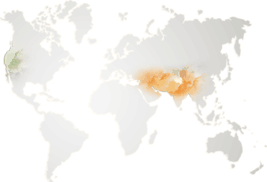 imgAlmondMap