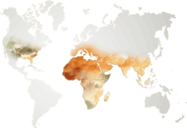 imgBeeswaxMap
