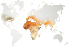 imgHoneyMap