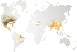 imgOrangeMap