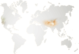 imgPomegranateMap