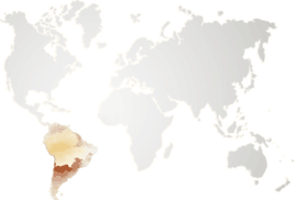 imgSunflowerMap