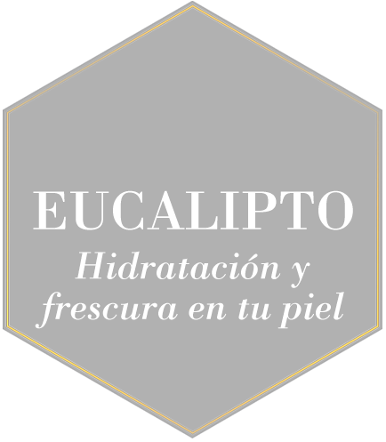 EUCALIPTO