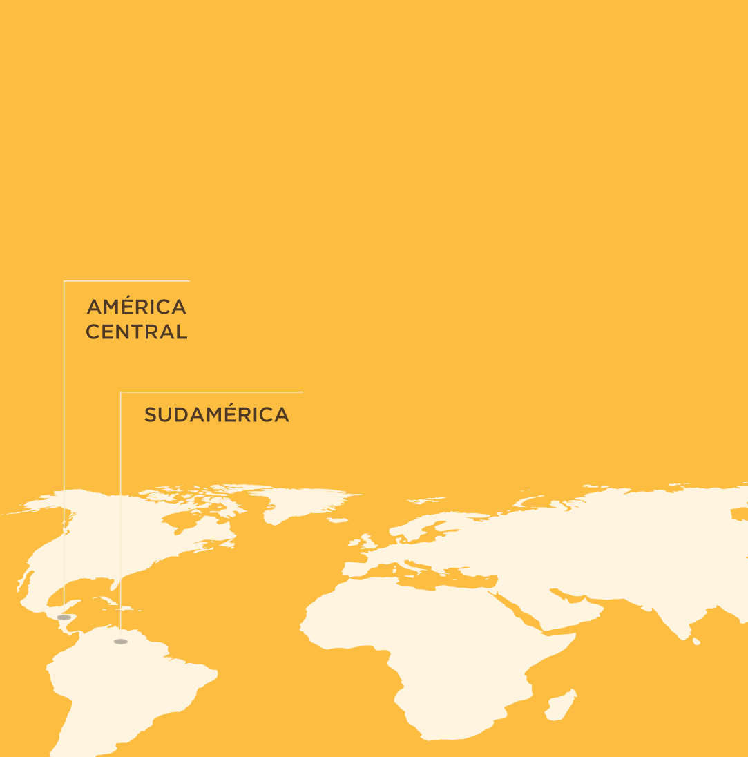 MAPA_BAYA_DE_ACAI_MOBILE