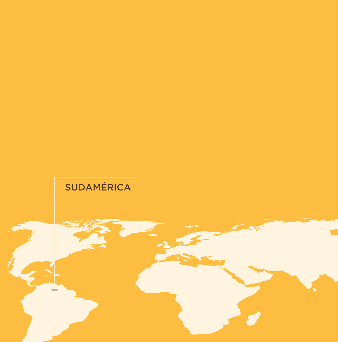 MAPA_GIRASOL_MOBILE