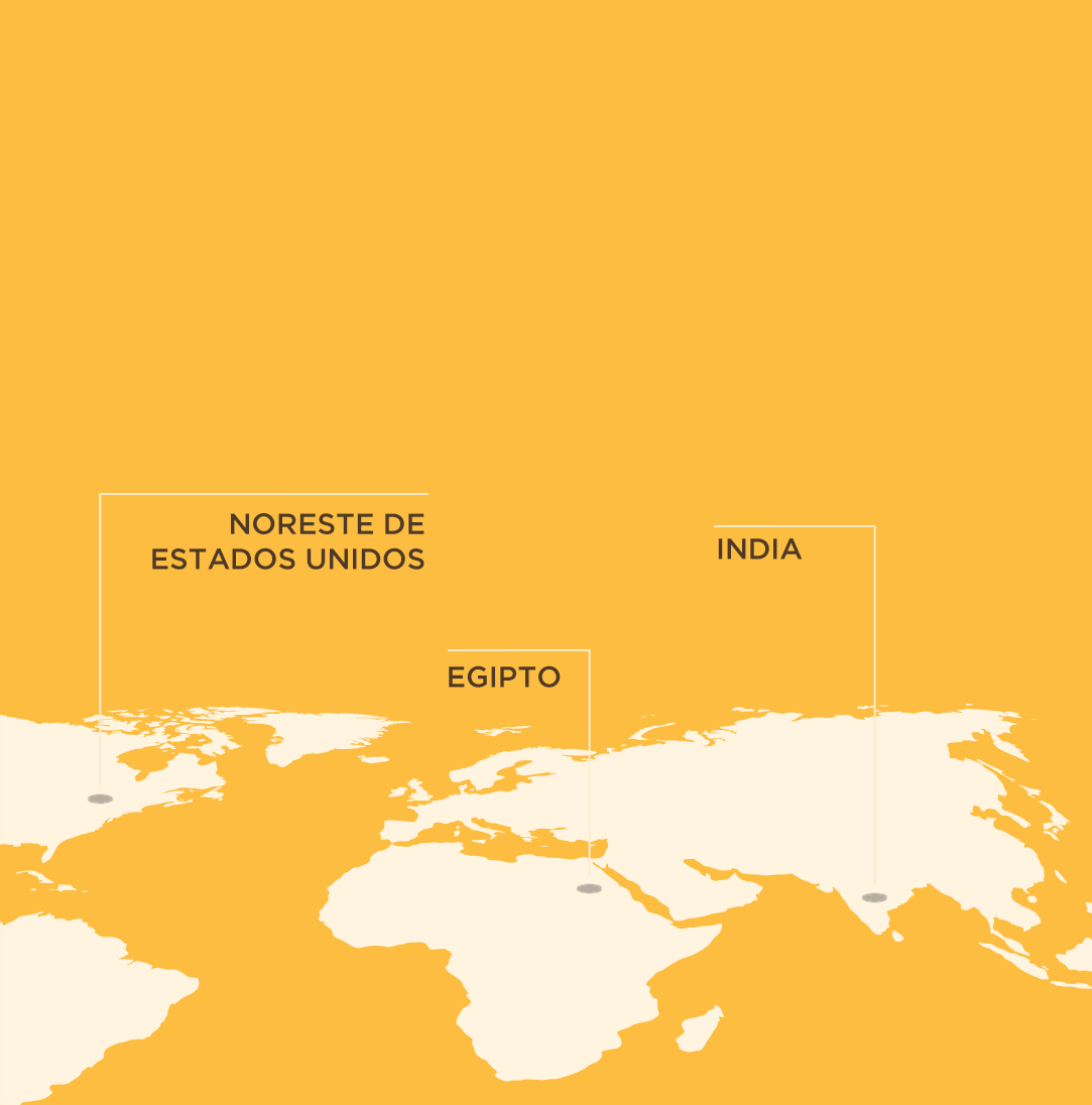 MAPA_MENTA_MOBILE