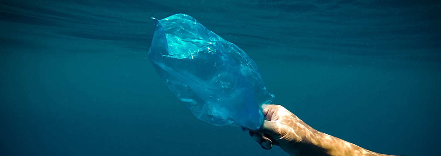EarthMonth_Week3_ArticleHeader1500x533