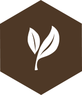 badge-ingredientes-jojoba