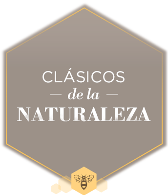 titulos-hexagonos-clasicos