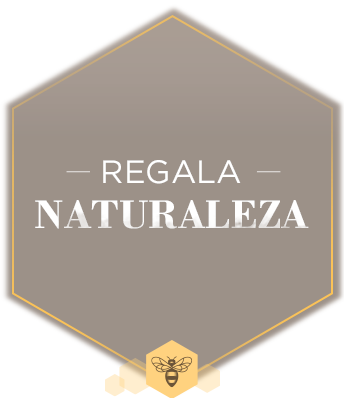 titulos-hexagonos-kits-