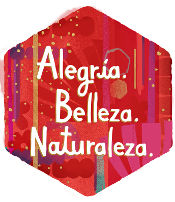 titulos-hexagonos-kits-navideño